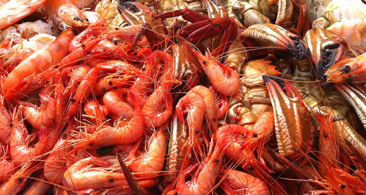 Qué es el marisco y qué tipos de mariscos existen? | Albariñ